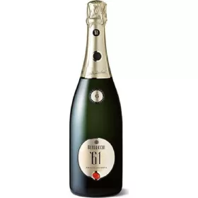   Berlucchi Franciacorta Brut 75cl – Alkoholisches Getränk Spirituose oder Likör für Genussmomente