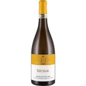   Caggiano Fiano Avellino Docg 75cl – Alkoholisches Getränk Spirituose oder Likör für Genussmomente