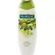 Palmolive Duschgel Olive 750 ml – Hochwertige Körperpflege für tägliche Hygiene und Pflege
