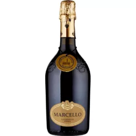   Ariola Lambrusco Marcellogold Label 75cl – Alkoholisches Getränk Spirituose oder Likör für Genussmomente