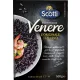 Scotti Venere Schwarzer Reis 500 g – Italienische Pasta oder Reis Zutat für mediterrane Küche