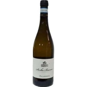   Taburno Winery Falanghina Dop 75 cl 5-Pack – Wine for Special Occasions