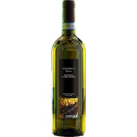   Pengue Solopaca White 75 cl 5-Pack – Alcoholic Beverage for Enjoyable Moments