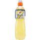 Gatorade Zitrone Pet 1 l - Sports Drink for Training & Refreshment