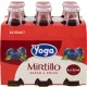 Yoga 100% Blaubeersaft Nektar 6x125ml - Fruchtgetränk für Frühstück & täglichen Genuss