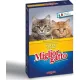 Migliorgatto Kroketten Huhn 400 g – Premium Pet Food Complete Nutrition for Pets