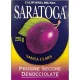 Saratoga Entsteinte Trockenpflaumen 250g – Süße oder salzige Snacks für unterwegs und Genussmomente
