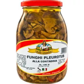   Bella Contadina Pleurotus Pilze 580g – Canned Legumes or Vegetables for Salads, Soups and Everyday Cooking