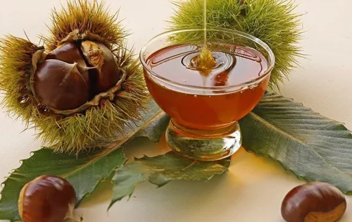 Chestnut Honey 450g