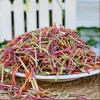 Vegetable Noodles kg
