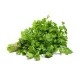 Bunch of Parsley – For Daily Enjoyment