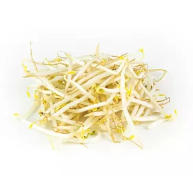 Soya Filizi kg – For Daily Enjoyment