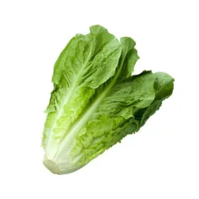 Romer Lettuce (each) – For Daily Enjoyment