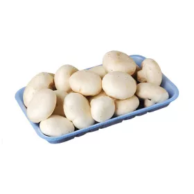 Mushroom 250 g – For Daily Enjoyment