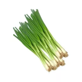 Fresh Onion (piece) – For Daily Enjoyment