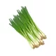 Fresh Onion (piece) – For Daily Enjoyment