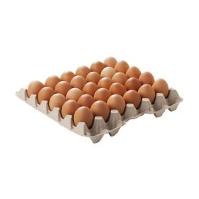 Gezen Tavuk L (30 adet) | Gıda Ürünü – Premium Lezzet