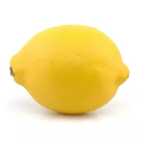 Limon (piece) – For Daily Enjoyment