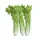 Celery (piece)– For Daily Enjoyment
