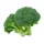 Broccoli 500 g – For Daily Enjoyment