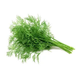 Dill Bunch – For Daily Enjoyment