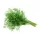 Dill Bunch – For Daily Enjoyment