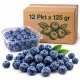 Blueberries in Carton - 12 Pkt x 125 gr