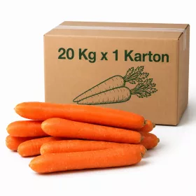 Thick Carrots – 20 Kg x 1 Carton