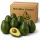 Green Mission Avocado in Carton - 12/14 Pcs x 1 Carton