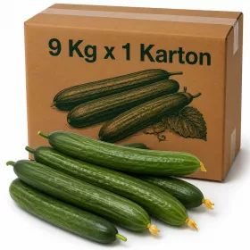 Feinsteck Cucumbers in Carton - 9 Kg x 1 Carton