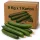 Feinsteck Cucumbers in Carton - 9 Kg x 1 Carton