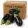 NL Eggplants in Carton - 5 Kg x 1 Carton