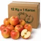 Royal Gala Bastion Apples in Carton - 12 Kg x 1 Carton