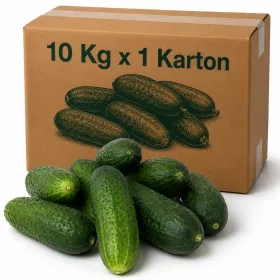 Class 1 Pickling Cucumbers in Carton - 10 Kg x 1 Carton