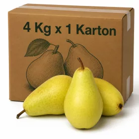 Santa Maria Pears in Carton - 4 Kg x 1 Carton
