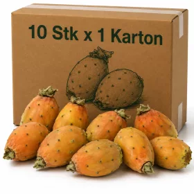 Cactus Pears in Carton - 10 Pcs x 1 Carton