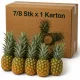 Fresh Pineapple in Carton - 7/8 Pcs x 1 Carton