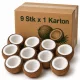 Drinking Coconuts in Carton - 9 Pcs x 1 Carton