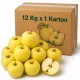 Golden Delicious Bastion Apples in Carton - 12 Kg x 1 Carton