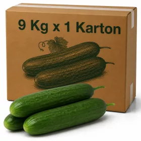 NL Mini Cucumbers in Carton - 9 Kg x 1 Carton