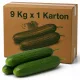 NL Mini Cucumbers in Carton - 9 Kg x 1 Carton
