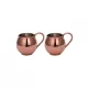 Terra Copper Beaker 580 ml – 2-Pack Set