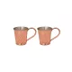 Linea Copper Beaker 400 ml – 2-Pack Set