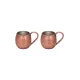 Luna Copper Beaker 360 ml – 2-Pack, Scotch Finish