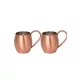 Moscow Mule Cup 500 ml – 2-Pack Set, Scotch Finish