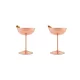 Zo-Martini Glass 250 ml – 2-Pack