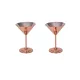 Martini Glass 250 ml – 2-Pack Set